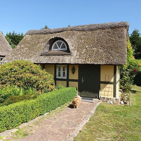 Zara'S B&B Horsens Extérieur photo