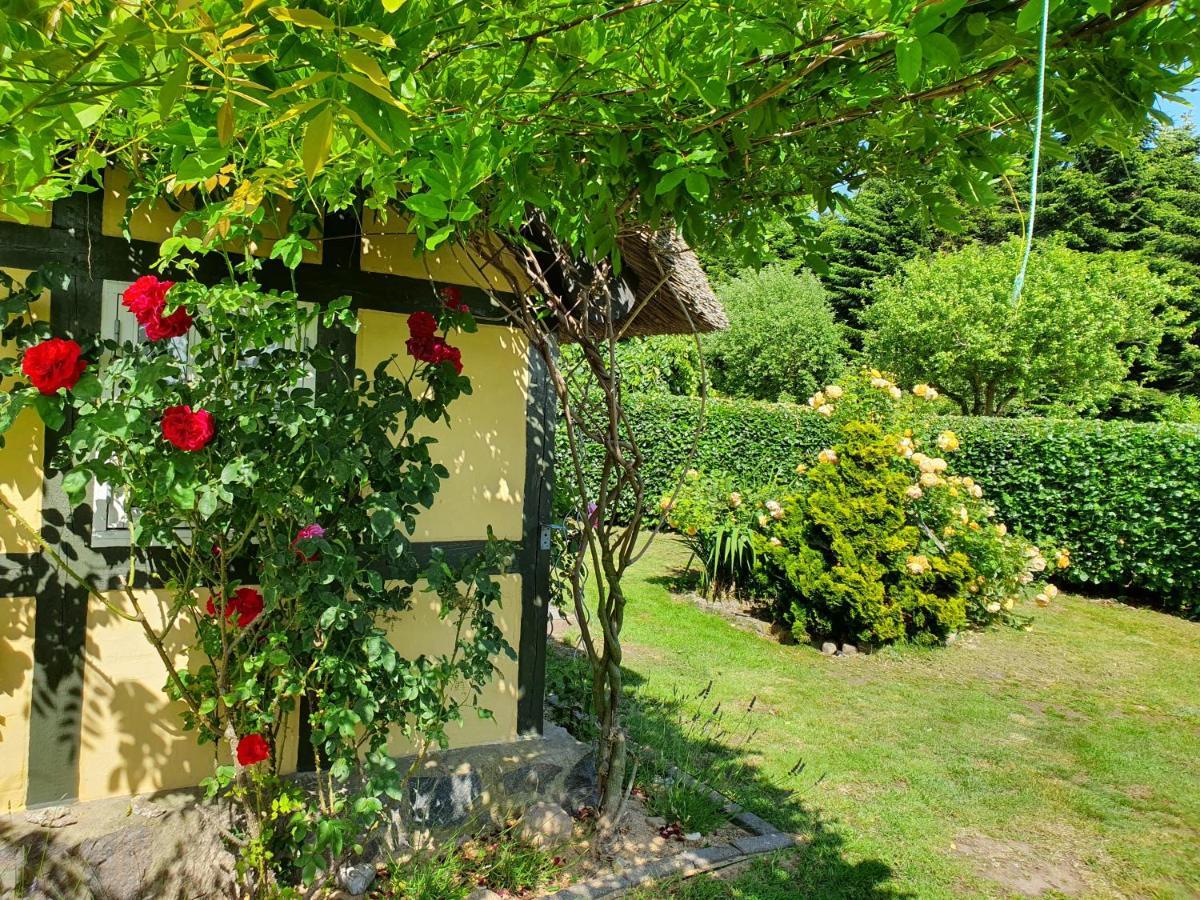 Zara'S B&B Horsens Extérieur photo