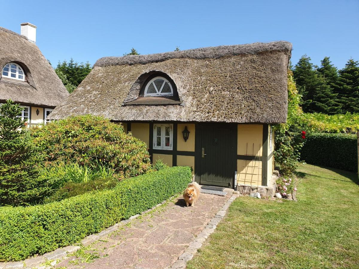Zara'S B&B Horsens Extérieur photo