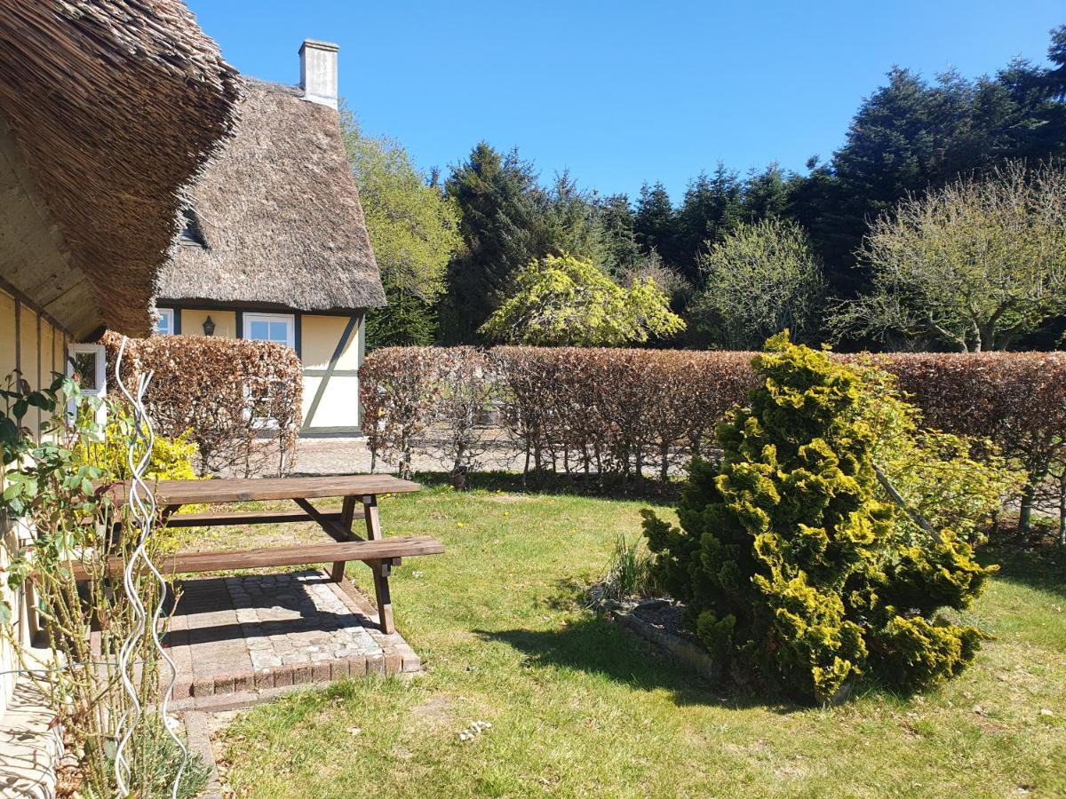 Zara'S B&B Horsens Extérieur photo